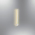 3006