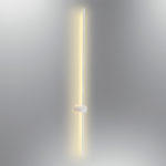 3006