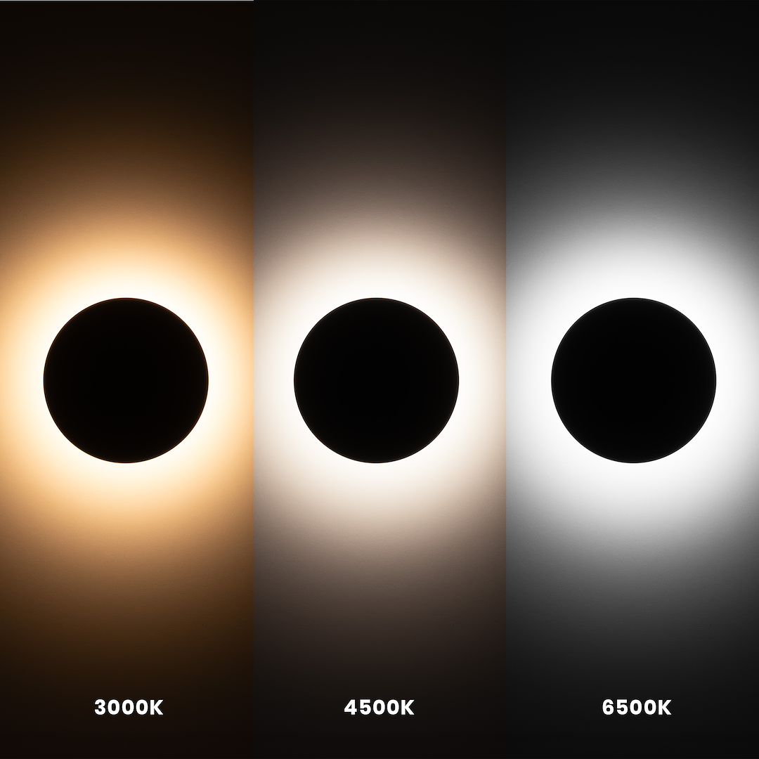 DISK - Image 2
