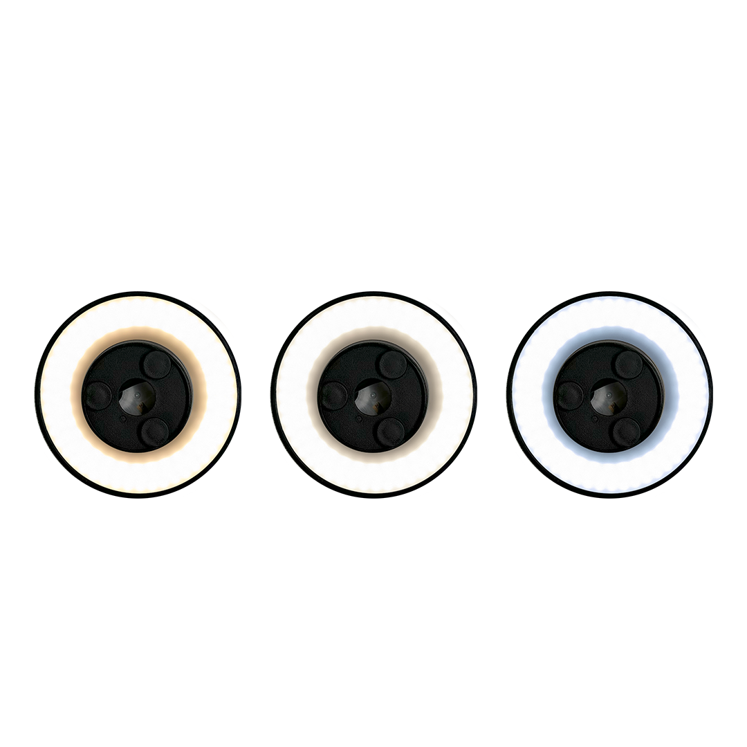 DISK - Image 5