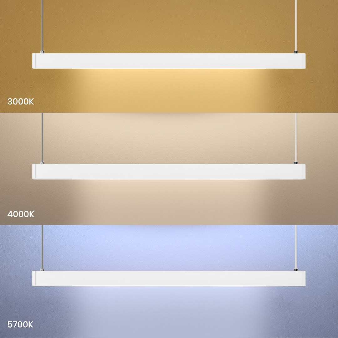 LINEA - Image 11