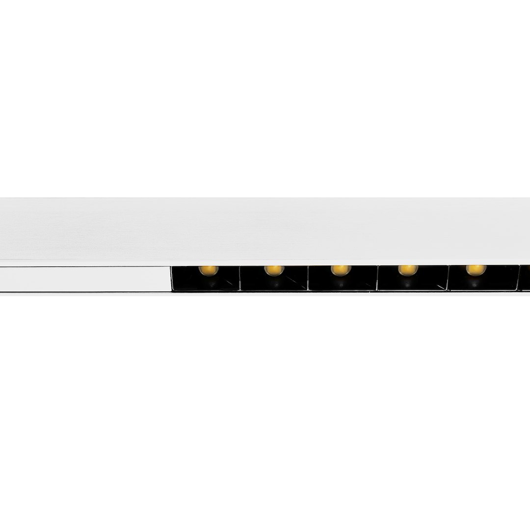 LINEA - Image 5