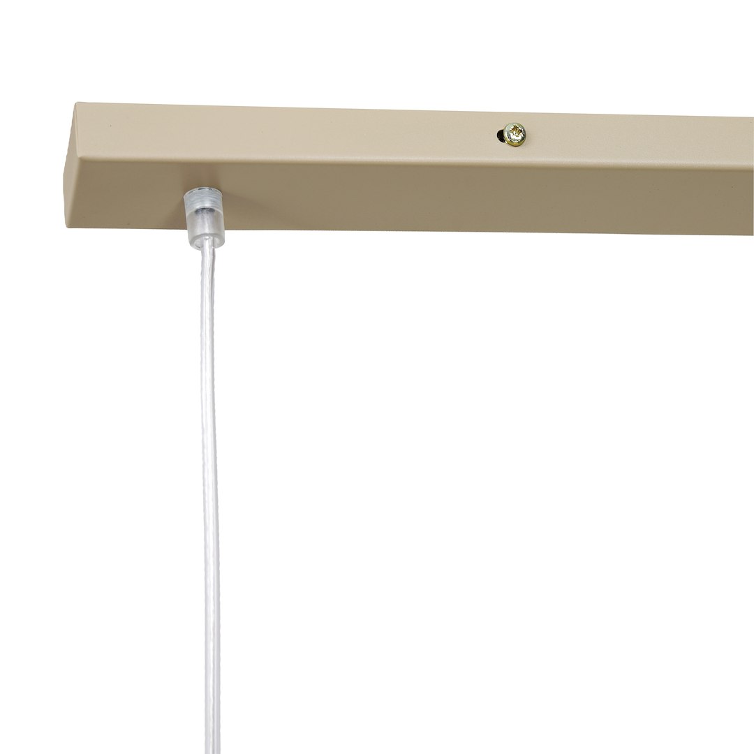 CREMA - Image 5