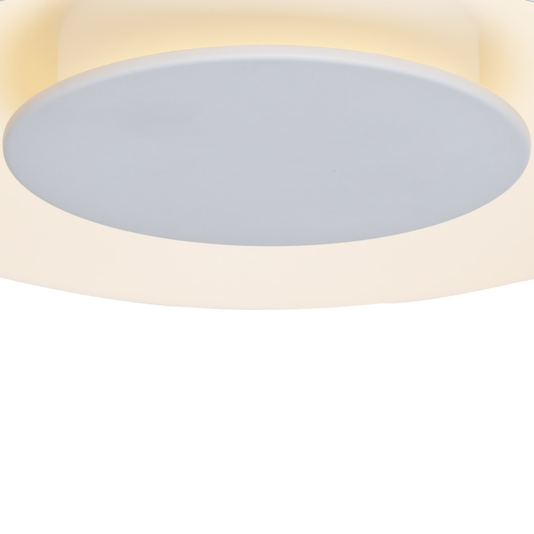PIATTINO - Image 3
