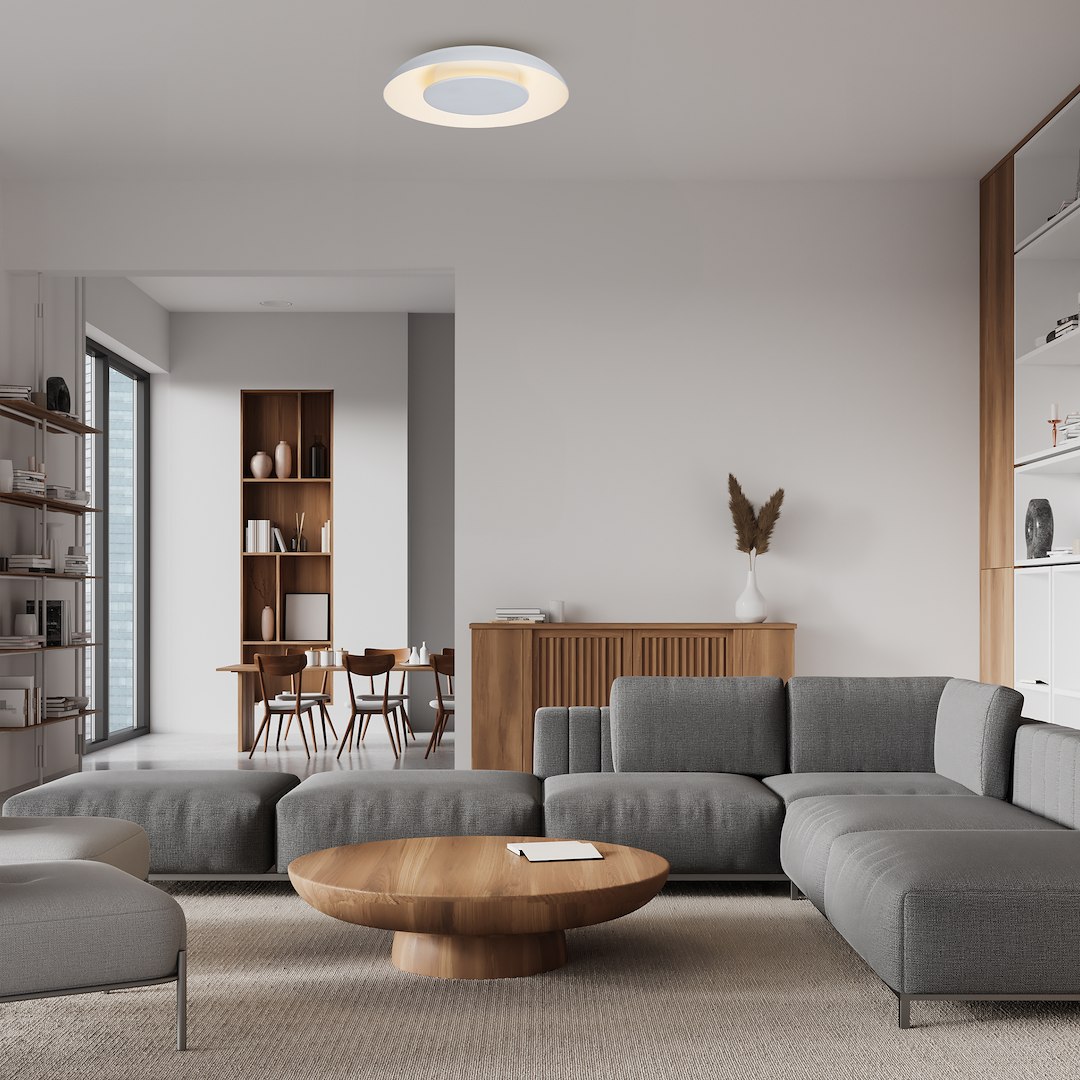 PIATTINO - Image 4